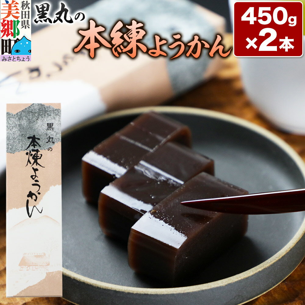 [お中元 ギフト]本練ようかん 2本(450g×2本) [ゆうパケット]