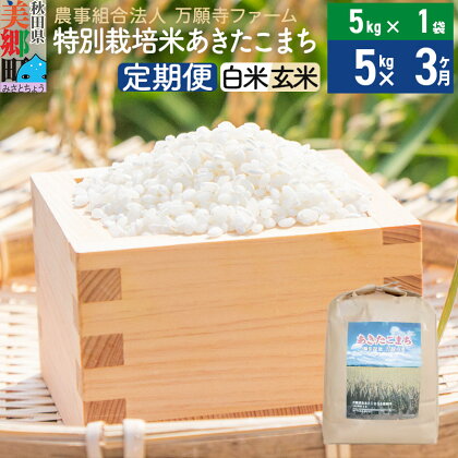 【白米/玄米 選べる】《定期便3ヶ月》令和5年産 特別栽培米あきたこまち 5kg（5kg×1袋）×3回 計15kg 3か月 3ヵ月 3カ月 3ケ月