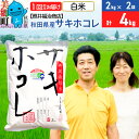 17位! 口コミ数「0件」評価「0」令和5年産 サキホコレ特別栽培米4kg（2kg×2袋）【白米】秋田の新ブランド米 秋田県産 お米