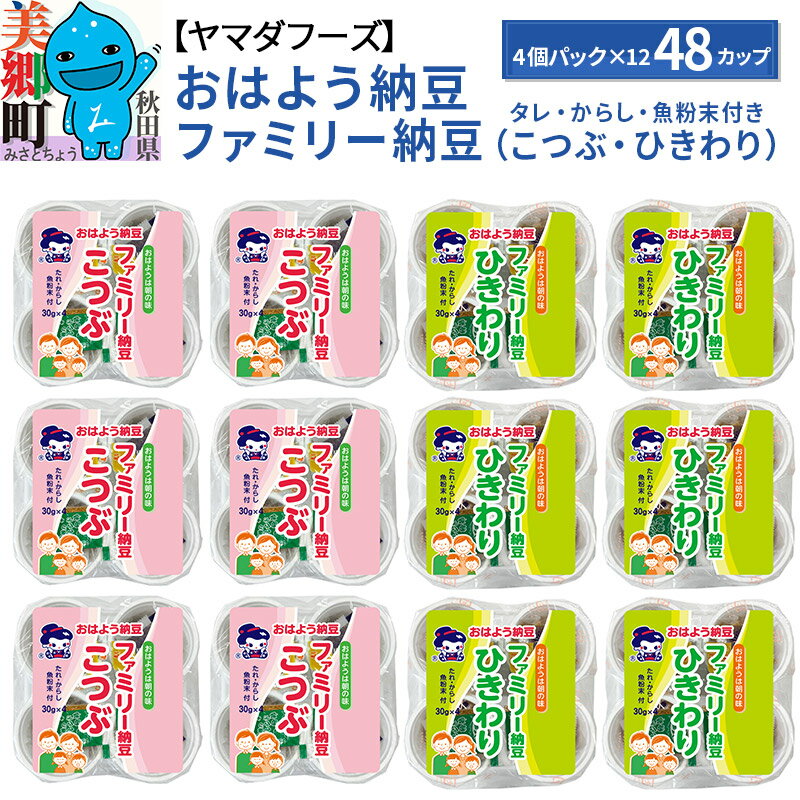 【ふるさと納税】ヤマダフーズおはよう納豆ファミリー納豆タレ付きからし付き48個