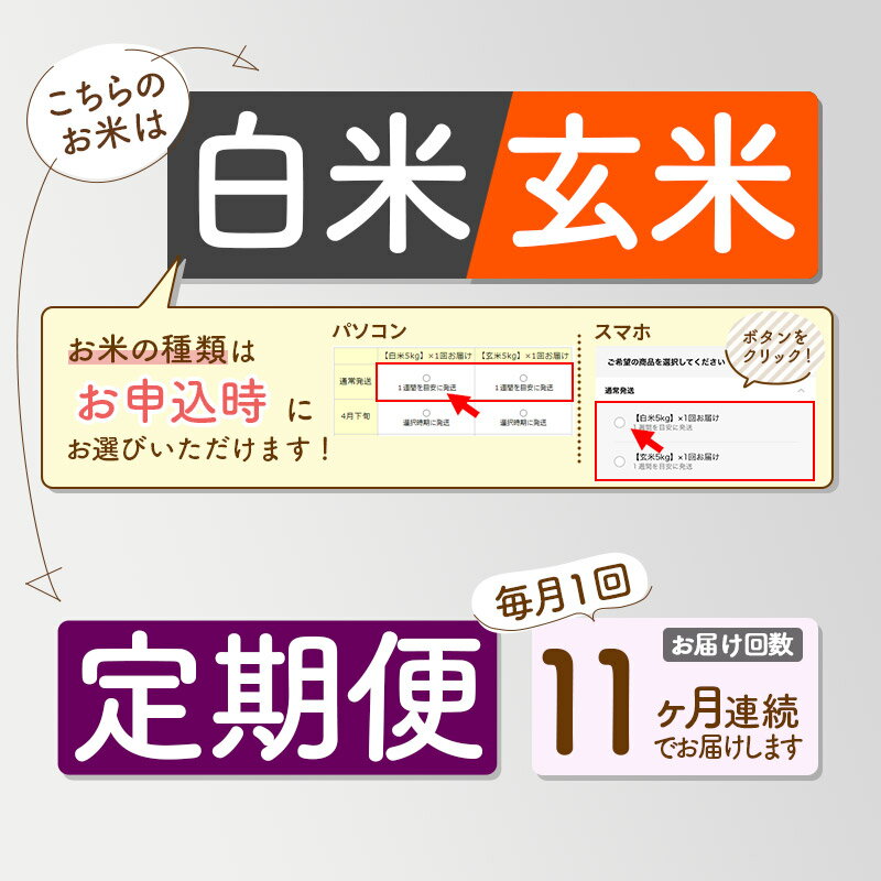 【ふるさと納税】【白米/玄米 選べる】《定期便11ヶ月》令和5年産 おばこの匠 20kg（5kg×4袋）×11回 計220kg 秋田県産あきたこまち 11か月 11ヵ月 11カ月 11ケ月 秋田こまち お米 発送時期が選べる