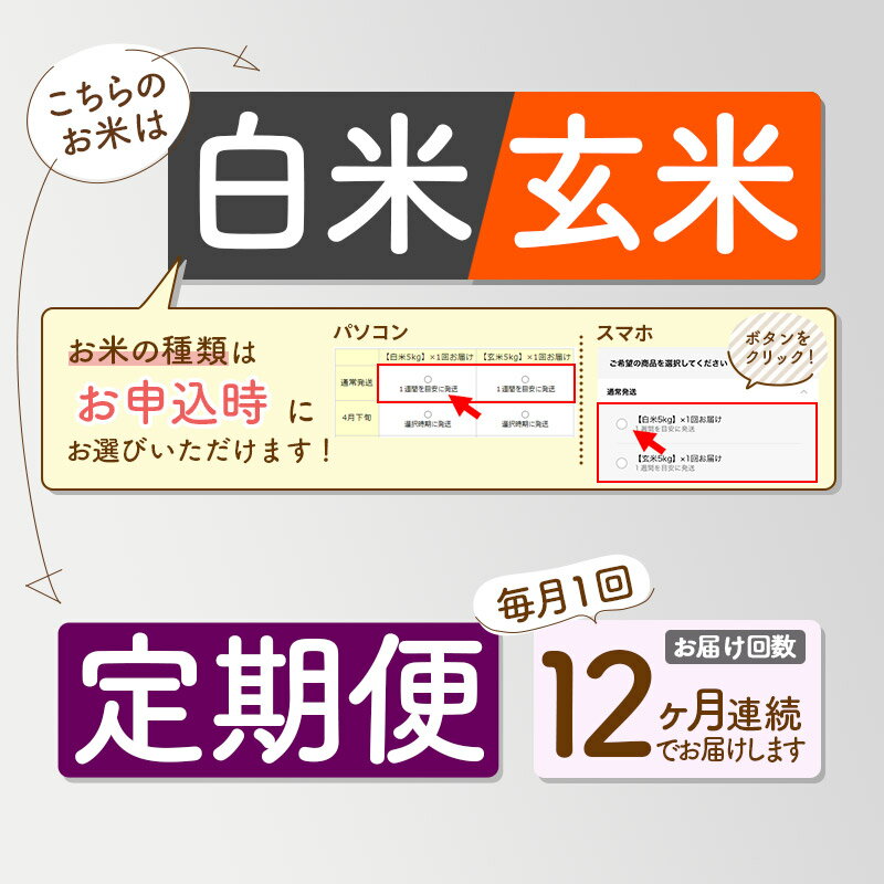 【ふるさと納税】【白米/玄米 選べる】《定期便12ヶ月》令和5年産 おばこの匠 25kg（5kg×5袋）×12回 計300kg 秋田県産あきたこまち 12か月 12ヵ月 12カ月 12ケ月 秋田こまち お米 発送時期が選べる