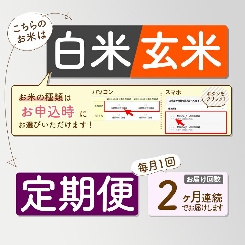 【ふるさと納税】【白米/玄米 選べる】《定期便2ヶ月》令和5年産 おばこの匠 2kg×2回 計4kg 秋田県産あきたこまち 2か月 2ヵ月 2カ月 2ケ月 秋田こまち お米 発送時期が選べる