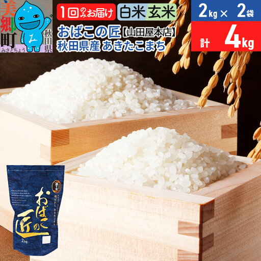 【ふるさと納税】令和6年産 おばこの匠 秋田県産あきたこまち 4kg(2kg×2袋)【白米/玄米 選べる】秋田こまち お米 【ふるさと納税】令和6年産 おばこの匠 秋田県産あきたこまち 4kg(2kg×2袋)【白米/玄米 選べる】秋田こまち お米