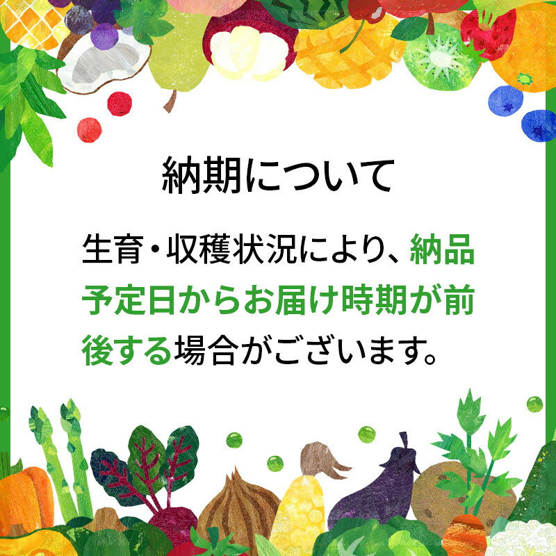 【ふるさと納税】《定期便3ヶ月》令和5年産 あきたこまち特別栽培米4kg（2kg×2袋）×3回 計12kg【白米】秋田県産あきたこまち 3か月 3ヵ月 3カ月 3ケ月 秋田こまち お米 秋田 3