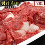 【ふるさと納税】500gのボリューム！羽後和牛 切り落とし　【羽後和牛・切り落とし・和牛・500g】