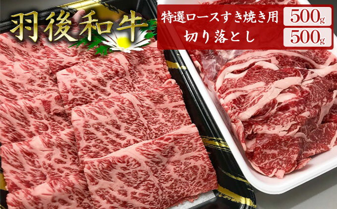 【ふるさと納税】羽後和牛特選ロースすき焼き用500g+羽後和牛切り落とし500g 計1kg　【ロースすき焼き用・羽後和牛・切り落とし・すきやき・スキヤキ】