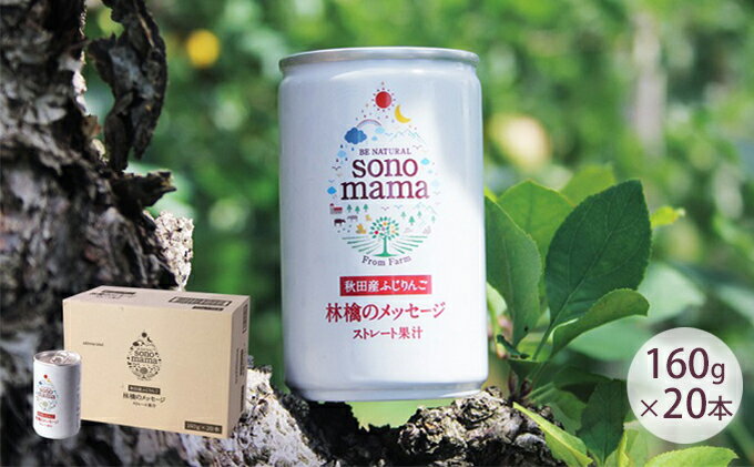 【ふるさと納税】りんごジュース「sonomama」（160g×20本）　【りんごジュース・りんご・ジュース・飲料】