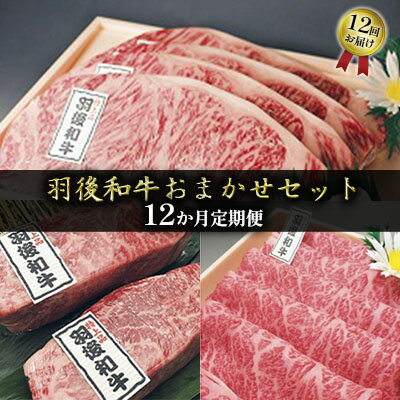 希少部位も有り 部位・量おまかせ！羽後和牛定期便（12ヶ月）　【定期便・牛肉・お肉・和牛】