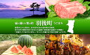 秋田県羽後町の画像3