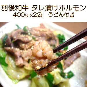 【ふるさと納税】羽後和牛 タレ漬けホルモン うどん付き 400g×2個 秋田県 羽後町【ライブストックさとう】　【 牛肉 麺類 肉の加工品 新鮮 オリジナル 野菜 蒸し焼き 焼うどん 】