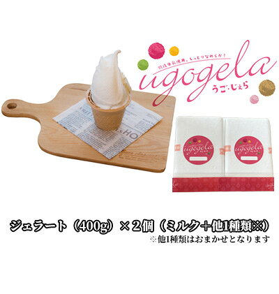 本格ジェラート 羽後町産生乳使用！「うご・じぇら」400g×2個セット（ミルク＋他1種類※おまかせ）〈株式会社おも・しぇ〉 スイーツ 冷たいスイーツ フレッシュミルク 濃厚 後味さっぱり 新鮮 とれたて食材 生産者直送 野菜 完熟果物
