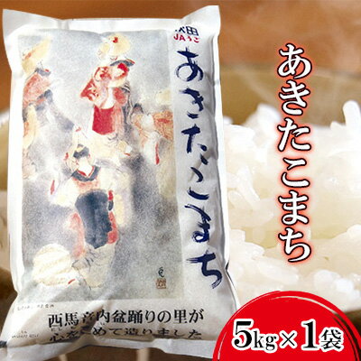 粒がひと回り大きい 高品質米 盆踊りあきたこまち 5kg　【 お米 あきたこまち 高品質 粒が大きい ふっくら 甘み 】