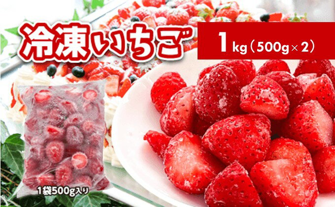 【ふるさと納税】冷凍いちご　1kg（500g×2）国産 イチゴ ジャム スムージー お菓子づくり　【 果物 フルーツ 冷凍果物 冷凍フルーツ そのまま トッピング フローズンイチゴ ストロベリー 】