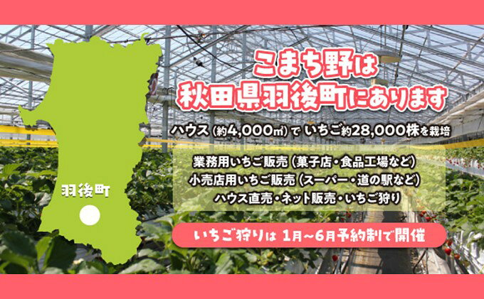 【ふるさと納税】秋田県 羽後町産 冷凍いちご 1kg（500g×2）国産 イチゴ ジャム ス...