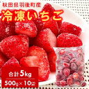 【ふるさと納税】冷凍いちご 5kg(500g×10)国産 イチゴ ジャム スムージー お菓子づくり 大容量 果物 フルーツ 冷凍果物 冷凍フルーツ そのまま トッピング フローズンイチゴ ストロベリー
