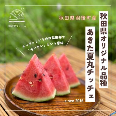 【ふるさと納税】小玉スイカ『あきた夏丸チッチェ』2Lサイズ(約2.8〜3.4kg)×2玉 秋田県羽後町産　【 果物 フルーツ 秋田県オリジナル品種 高糖度 果汁たっぷり 旬の果物 】　お届け：2023年7月下旬〜2023年8月中旬までのサムネイル