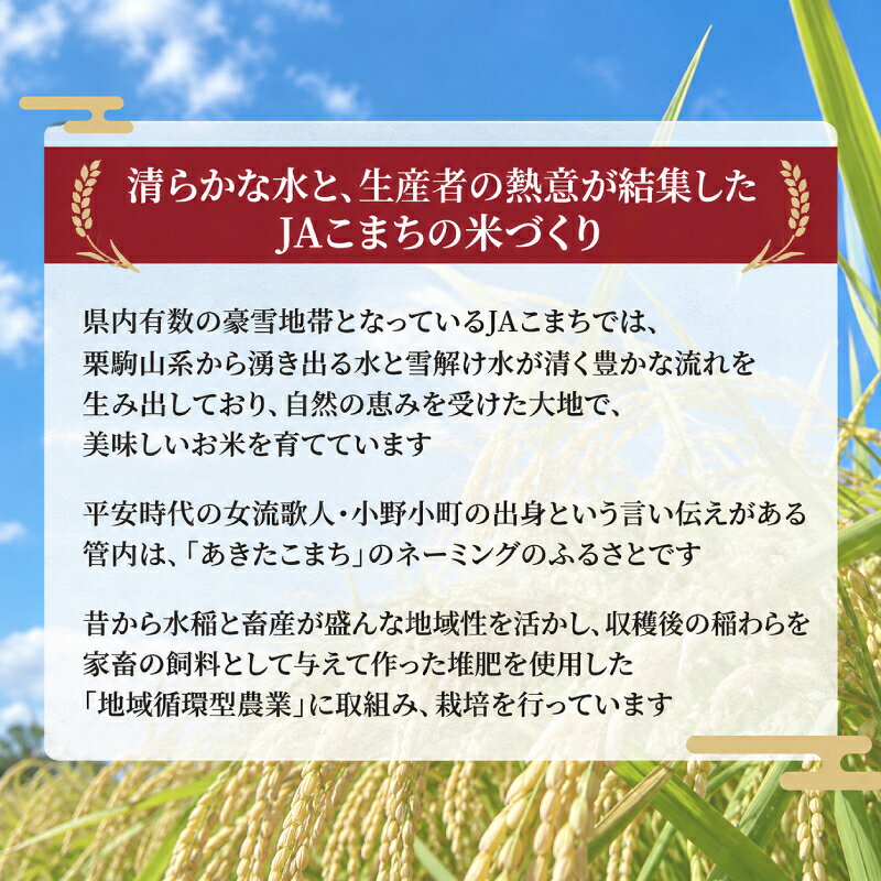 【ふるさと納税】新米[令和8年産] 無洗米 秋田県産 あきたこまち 10kg (5kg×2袋)[令和8年産] [JAこまち] 米 お米 白米 ご飯 お弁当 あま味 モチモチ 美味しい ブランド米 銘柄米 秋田 羽後　お届け：2027年9月末まで f054631-ugo-10000332 秋田県羽後町 サンプル画像3