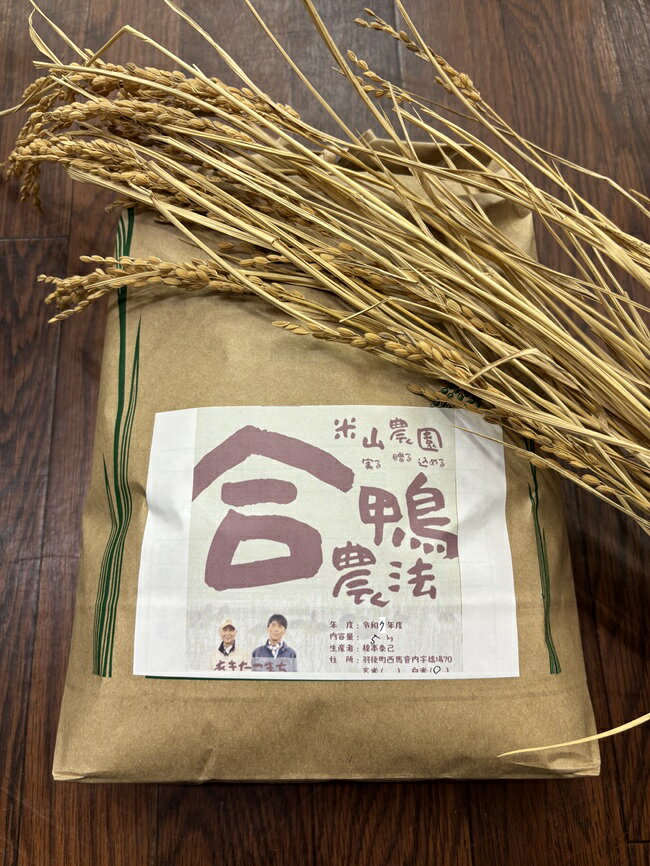【ふるさと納税】合鴨農法米あきたこまち　玄米5kg お米 あきたこまち