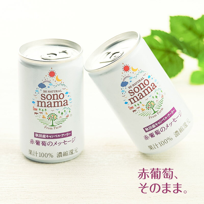 【ふるさと納税】《 定期便 6ヵ月 》 赤葡萄ジュース「sonomama」（160g×20本）×3箱 ぶどう ブドウ ジュース ぶどうジュース 飲料