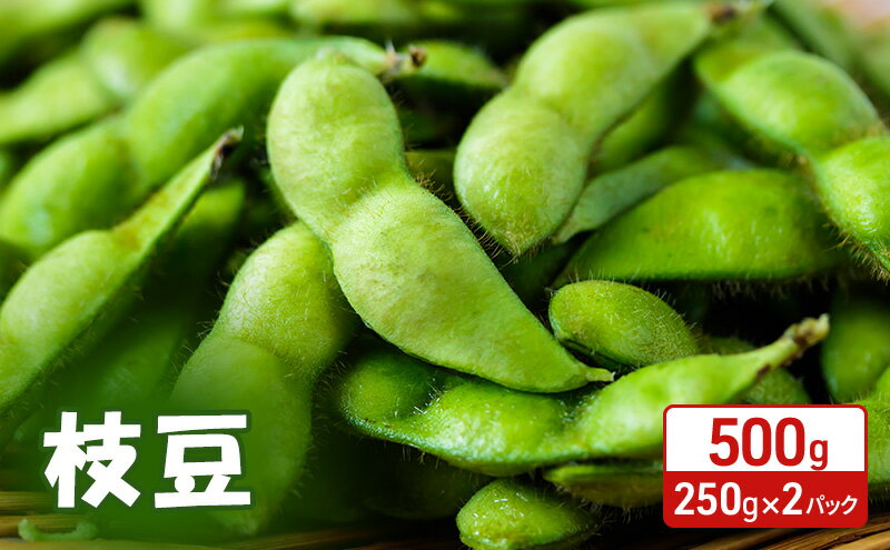 【ふるさと納税】先行予約 秋田県 羽後町産 枝豆 500g （250g×2） [えだまめ 簡単調理レンジ 国産 国産野菜 おつまみ] 　お届け：2026年7月中旬～10月上旬