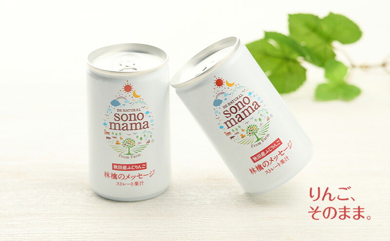 【ふるさと納税】《 定期便 6ヵ月 》 りんごジュース「sonomama」（160g×5本）×1箱 りんご リンゴ ジュース リンゴジュース 飲料