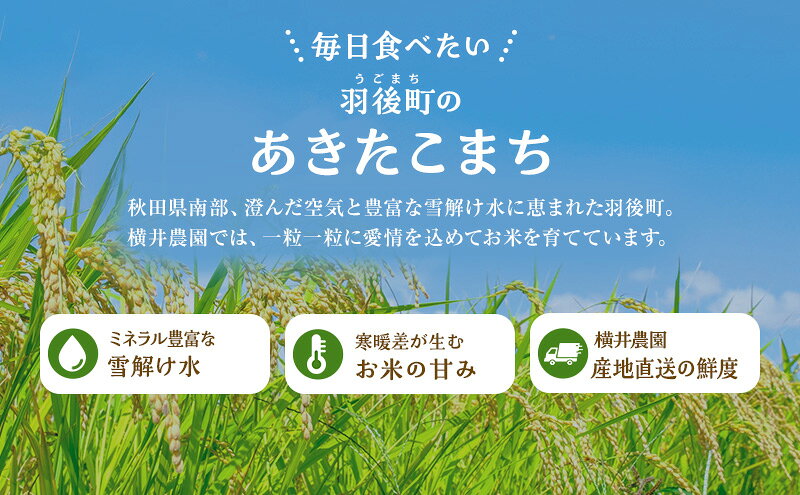 【ふるさと納税】〈先行予約/11月発送開始〉秋田県 羽後産 あきたこまち 5kg 農家直送 [令和8年産] 横井農園【 米 お米 ご飯 あきたこまち ブランド米 銘柄米 農家直送 特産品 秋田 羽後 】　お届け：2026年11月上旬～2027年10月下旬 f054631-ugo-10000474 秋田県羽後町 サンプル画像2