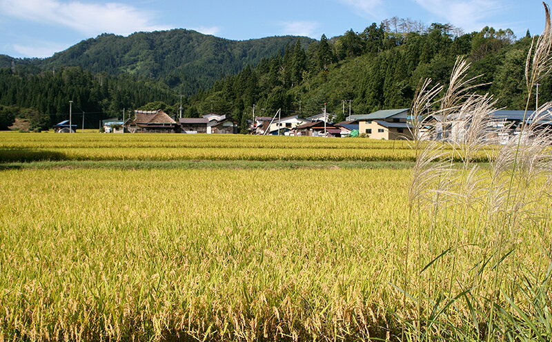 秋田県羽後町の画像3