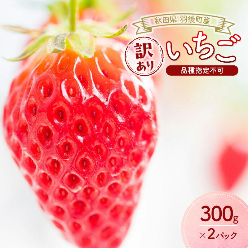 【ふるさと納税】秋田県 羽後町産 訳あり いちご 品種指定不可 300g×2パック　[ いちご 苺 イチゴ フ...