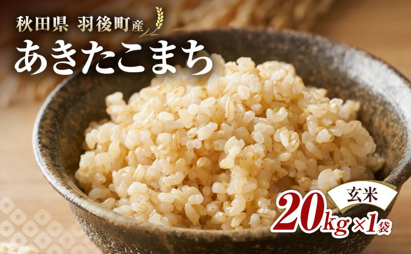 サンプル画像2