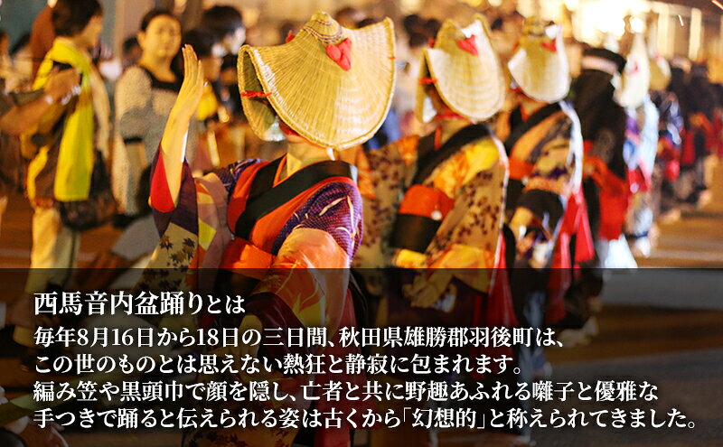 【ふるさと納税】【返礼品なし】西馬音内盆踊り 実行委員会支援（秋田県羽後町）3,000円 応援 支援 寄附のみ 【羽後町ふるさと納税】 f054631-ugo-10000786 秋田県羽後町 サンプル画像3