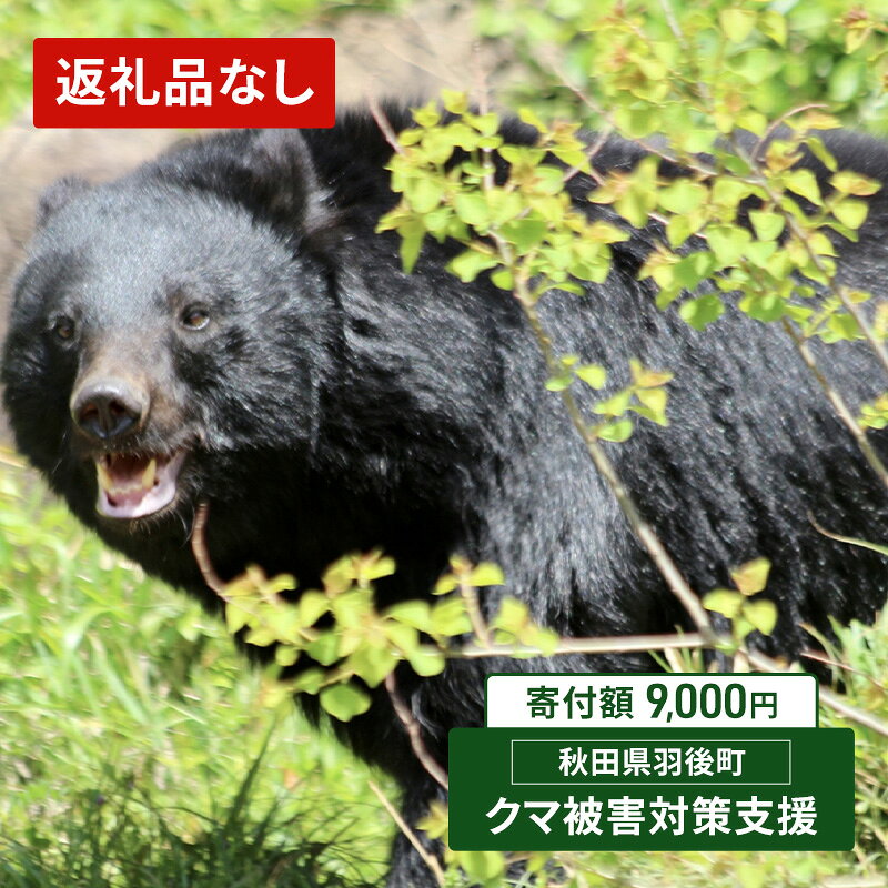 乐天商城 - 【ふるさと納税】【返礼品なし】クマ被害対策支援（秋田県羽後町）9000円 応援 支援 寄附のみ【羽後町ふるさと納税】