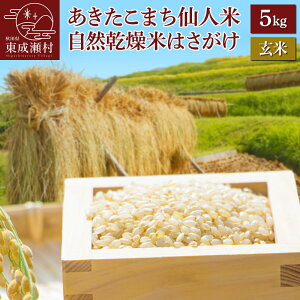 【ふるさと納税】＜新米＞あきたこまち「仙人米」 自然乾燥米（玄米） 5kg 秋田県東成瀬村産