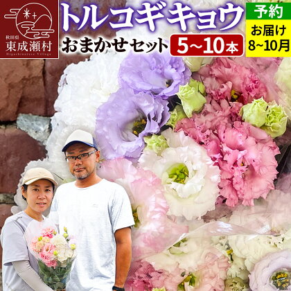 花 生花 トルコギキョウおまかせセット (5～10本)【先行予約】 かねはちファーム