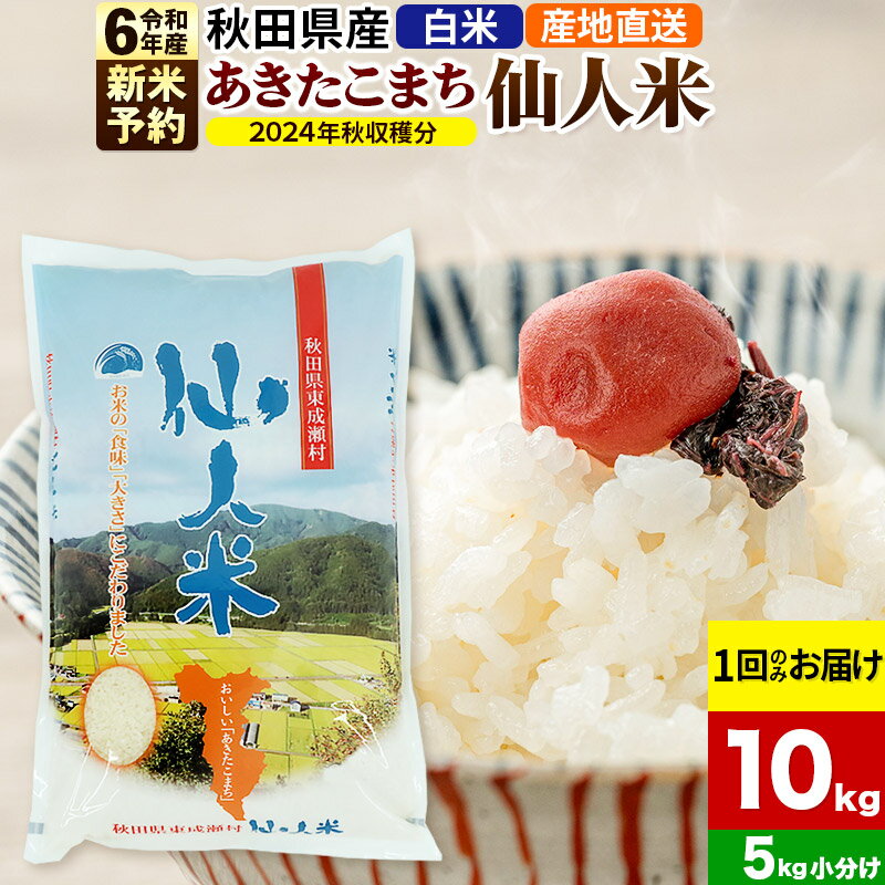 【ふるさと納税】※令和6年産 新米予約※《1回のみお届け》令