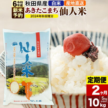 ※令和6年産 新米予約※【定期便2ヶ月】令和6年産 あきたこまち 秋田県産「仙人米」白米 10kg（5kg×2袋）【2024年秋ごろ出荷予定】