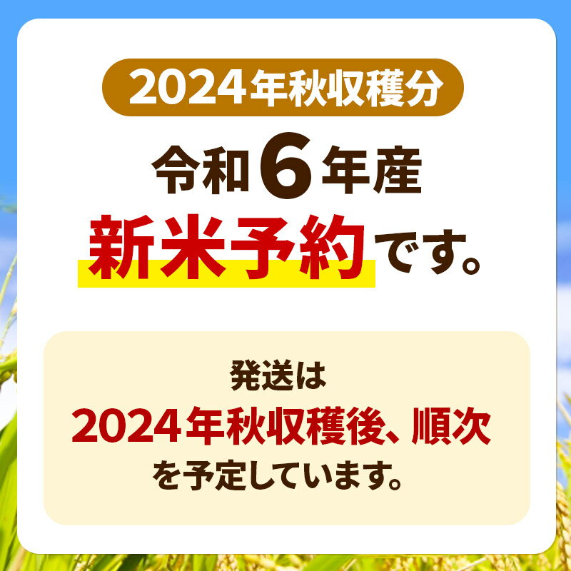 【ふるさと納税】※令和6年産 新米予約※【定期便6ヶ月】令和6年産 あきたこまち 秋田県産「仙人米」玄米 5kg（5kg×1袋）【2024年秋ごろ出荷予定】