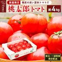 6位! 口コミ数「6件」評価「4」【東北・一部関東限定配送】桃太郎トマト 約4kg 日付指定不可 収穫でき次第出荷