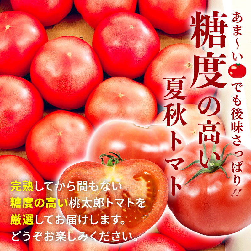 【ふるさと納税】【東北・一部関東限定配送】桃太郎トマト 約4kg 日付指定不可 収穫でき次第出荷