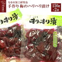 青梅の酢漬けで、パリパリとした歯触りです。 返礼品詳細 内容量 梅のハリハリ漬け（150g）2袋 原材料名 青梅(青森県産)、赤しそ、漬け原材料(砂糖、食塩、穀物酢／酸味料(クエン酸)) 原産地 秋田県東成瀬村 保存方法 冷蔵 提供元 （農）なるせ加工研究会 配送温度帯 冷蔵 ・寄附申込みのキャンセル、返礼品の変更・返品はできません。あらかじめご了承ください ・ふるさと納税よくある質問はこちら