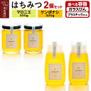 【ふるさと納税】はちみつ2個セット(MARRONNIER・KENPONASHI)300g×各1個 計2個【選べる容器 ガラスびん/プラスチックボトル】