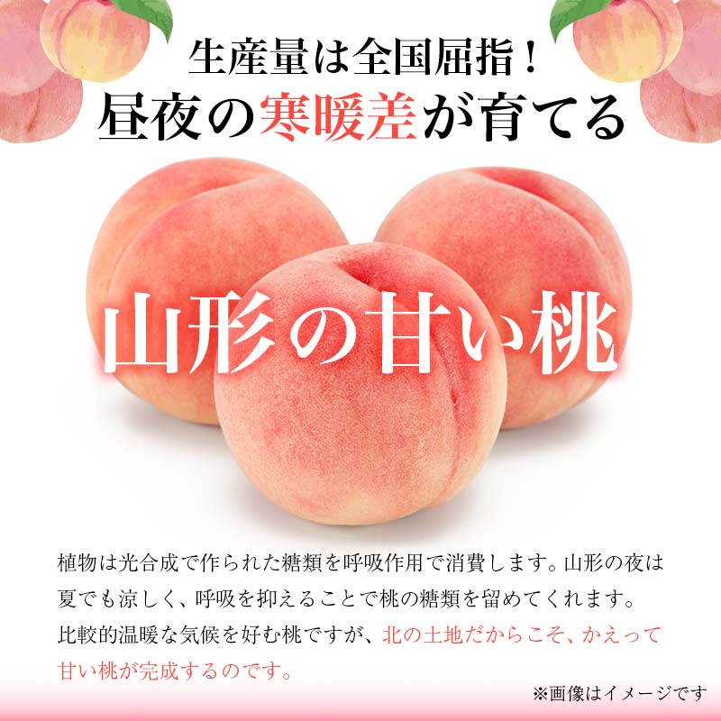 【ふるさと納税】【令和7年度産先行受付】山形の黄色い桃（有袋・無袋） 秀品 約2kg もも モモ 桃 デザート フルーツ 果物 くだもの 果実 食品 山形県 FSY-1833
