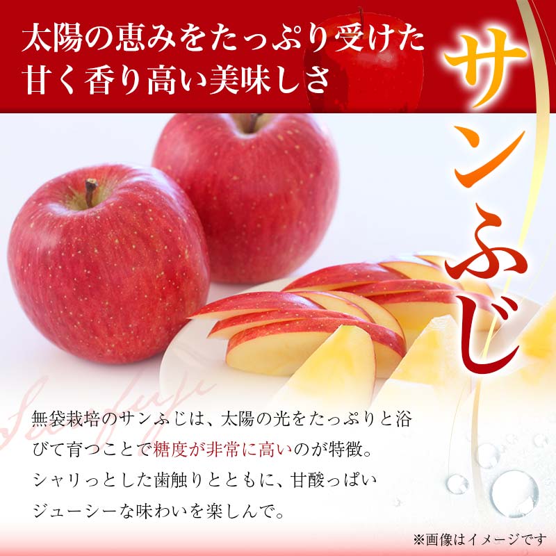 【ふるさと納税】【先行予約 2025年度発送】♪フルーツ王国山形♪ 早生サンふじりんご 〇秀品 約5kg りんご リンゴ 林檎 デザート フルーツ 果物 くだもの 果実 食品 山形県 FSY-1151