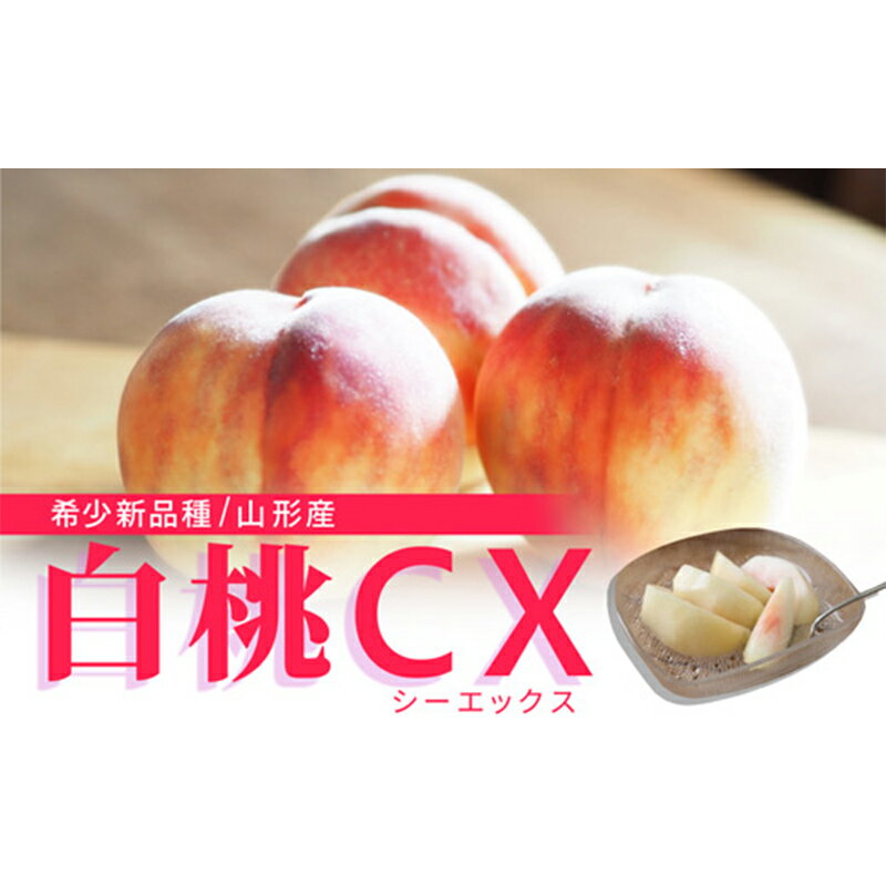 【ふるさと納税】《先行予約 2025年9月下旬発送》山形県産 白桃CX 秀品 約2.5kg もも モモ 桃 デザート フルーツ 果物 くだもの 果実 食品 山形県 FSY-0582