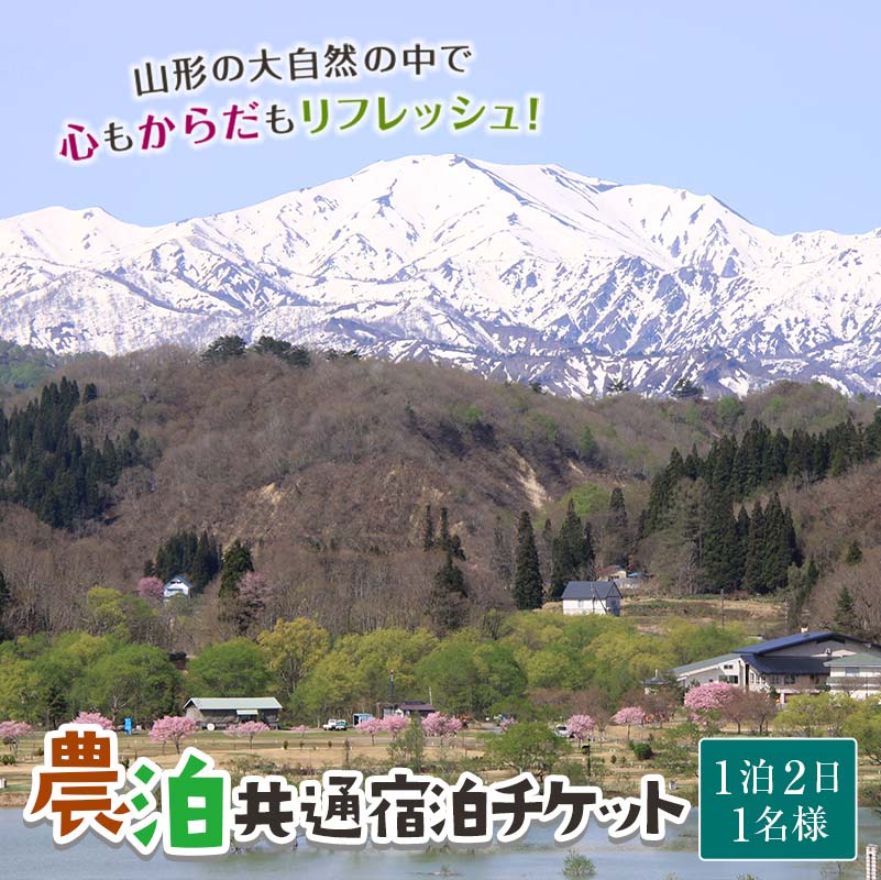 【ふるさと納税】 農家のお宿に泊まって農山村を楽しむ！「農泊」共通宿泊チケット F2Y-2010