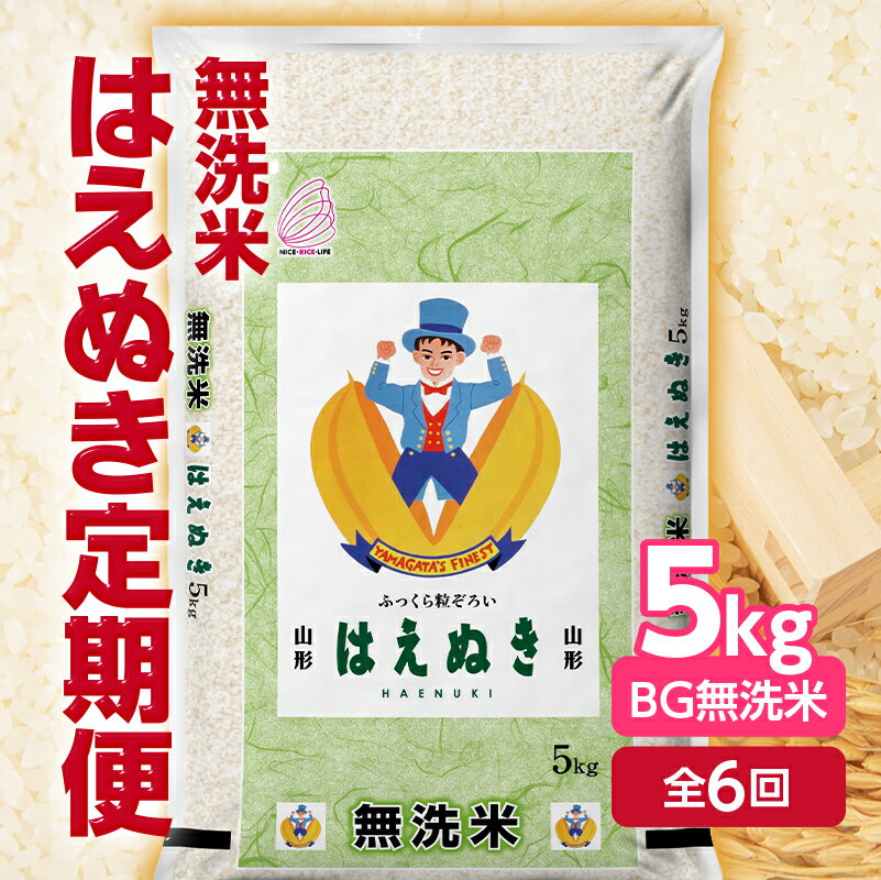 【ふるさと納税】 無洗米はえぬき5kg(BG無洗米) 定期便6回 山形 定期便 こめ 米 お米 精米 白米 ごはん ご飯 コメ おにぎり 送料無料 プレゼント ギフト ふるさと納税 F2Y-5746