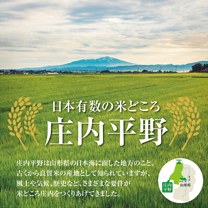 【ふるさと納税】 令和5年産庄内米「はえぬき5kg」と「田舎のおでん2袋」山形名物「イカ入り玉こんにゃく2袋」 F2Y-3755