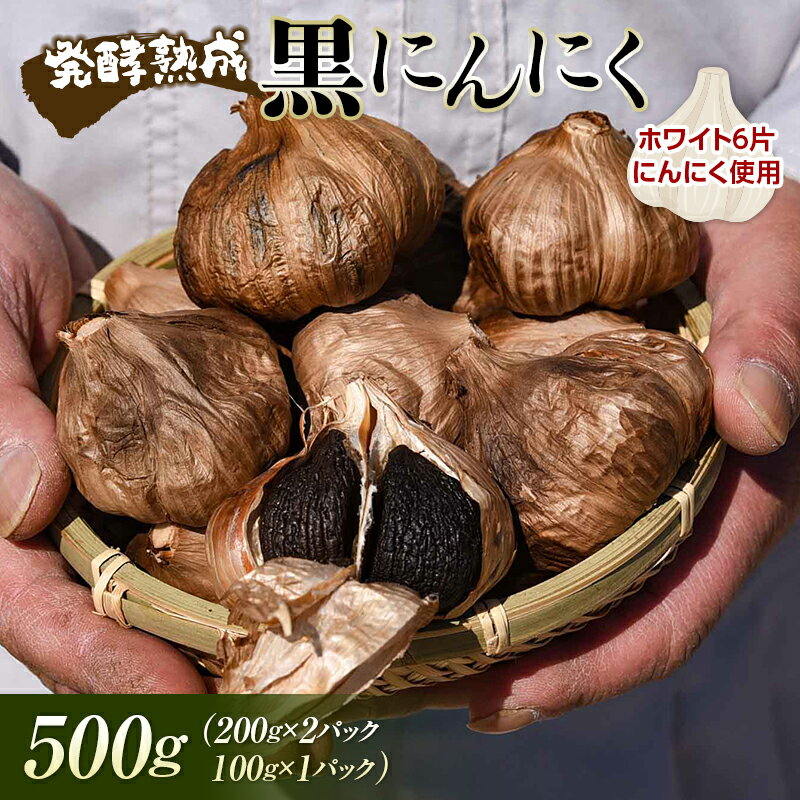 発酵熟成 黒にんにく 500g （200g×2パック＋100g×1パック） F2Y-3490