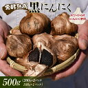 【ふるさと納税】 発酵熟成 黒にんにく 500g (200g×2パック+100g×1パック) F2Y-3490