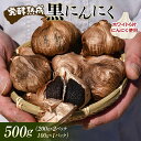  発酵熟成 黒にんにく 500g （200g×2パック＋100g×1パック） F2Y-3490